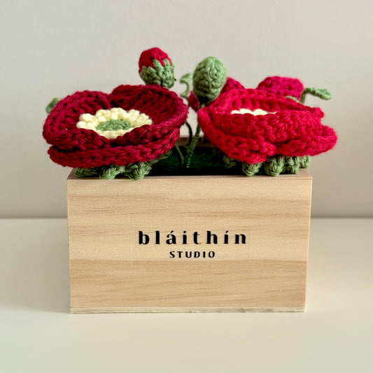 Mini Poppy Flower Box