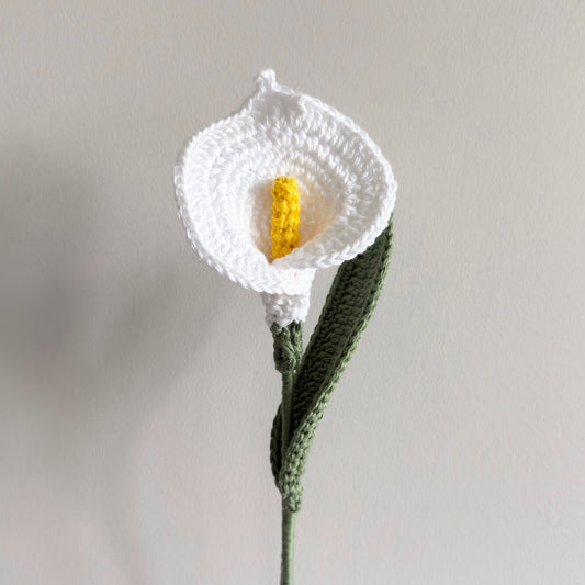 Calla Lily