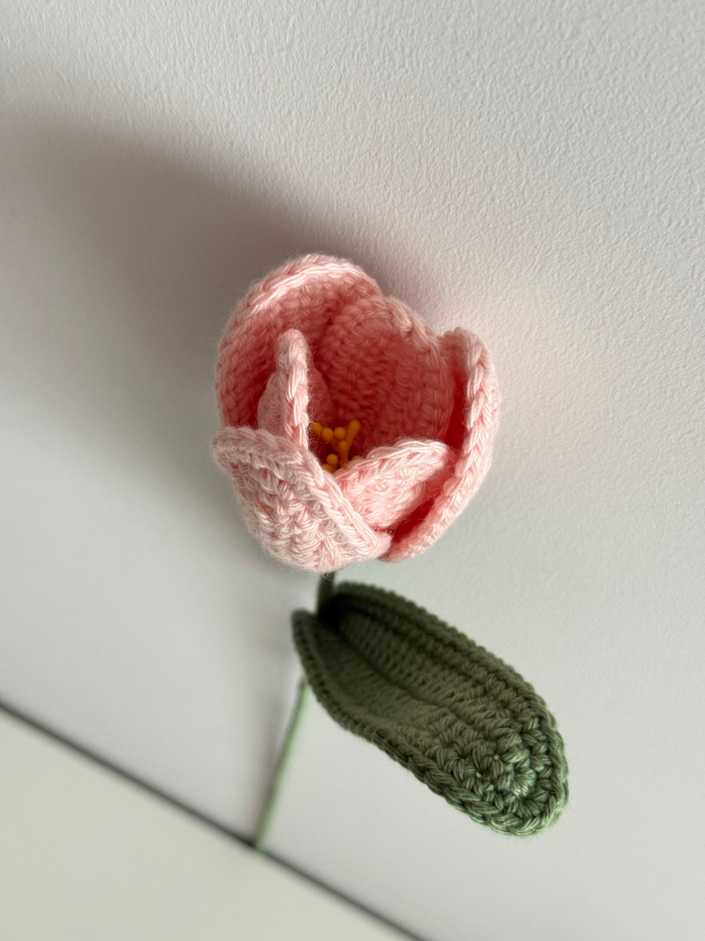 Pink Tulip