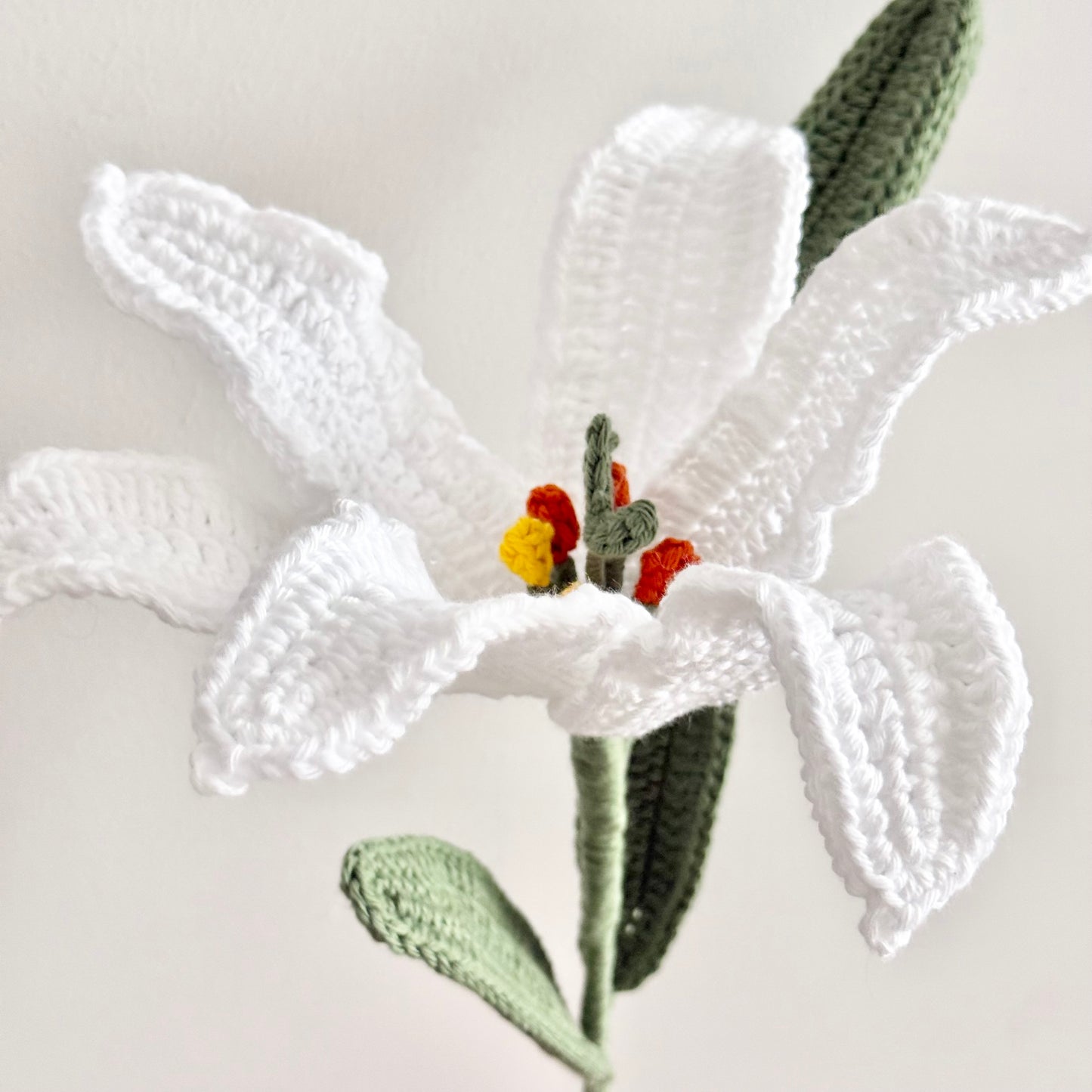 Lily