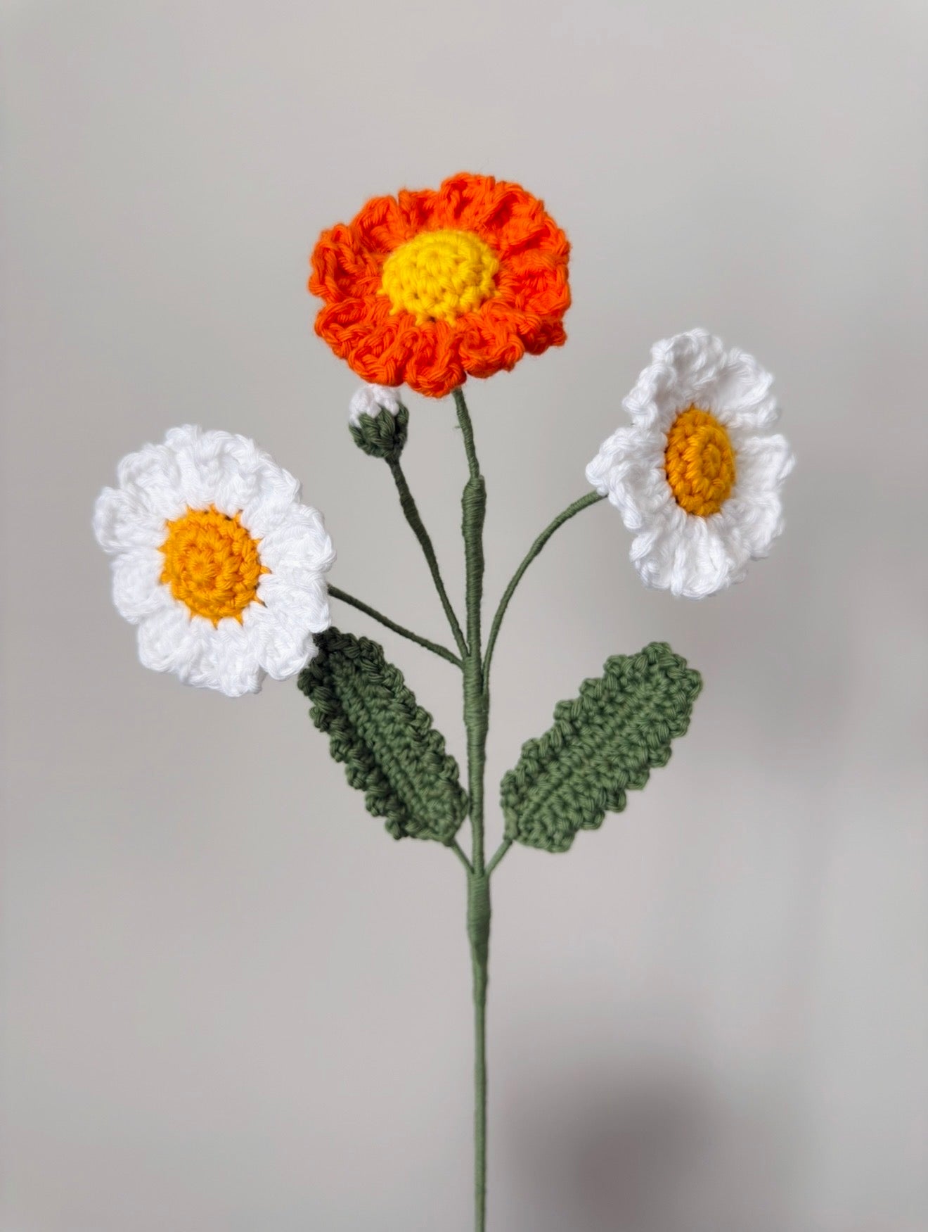 Daisy
