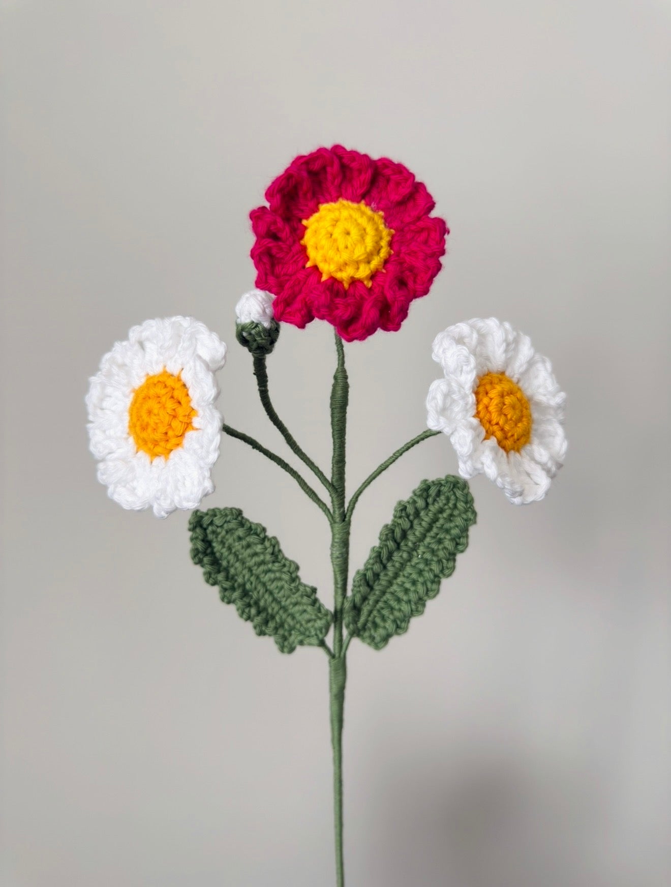 Daisy