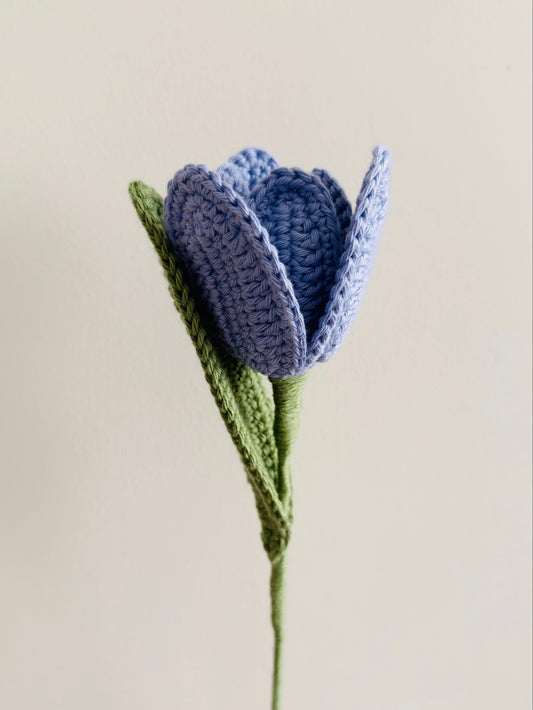 Blue Tulip
