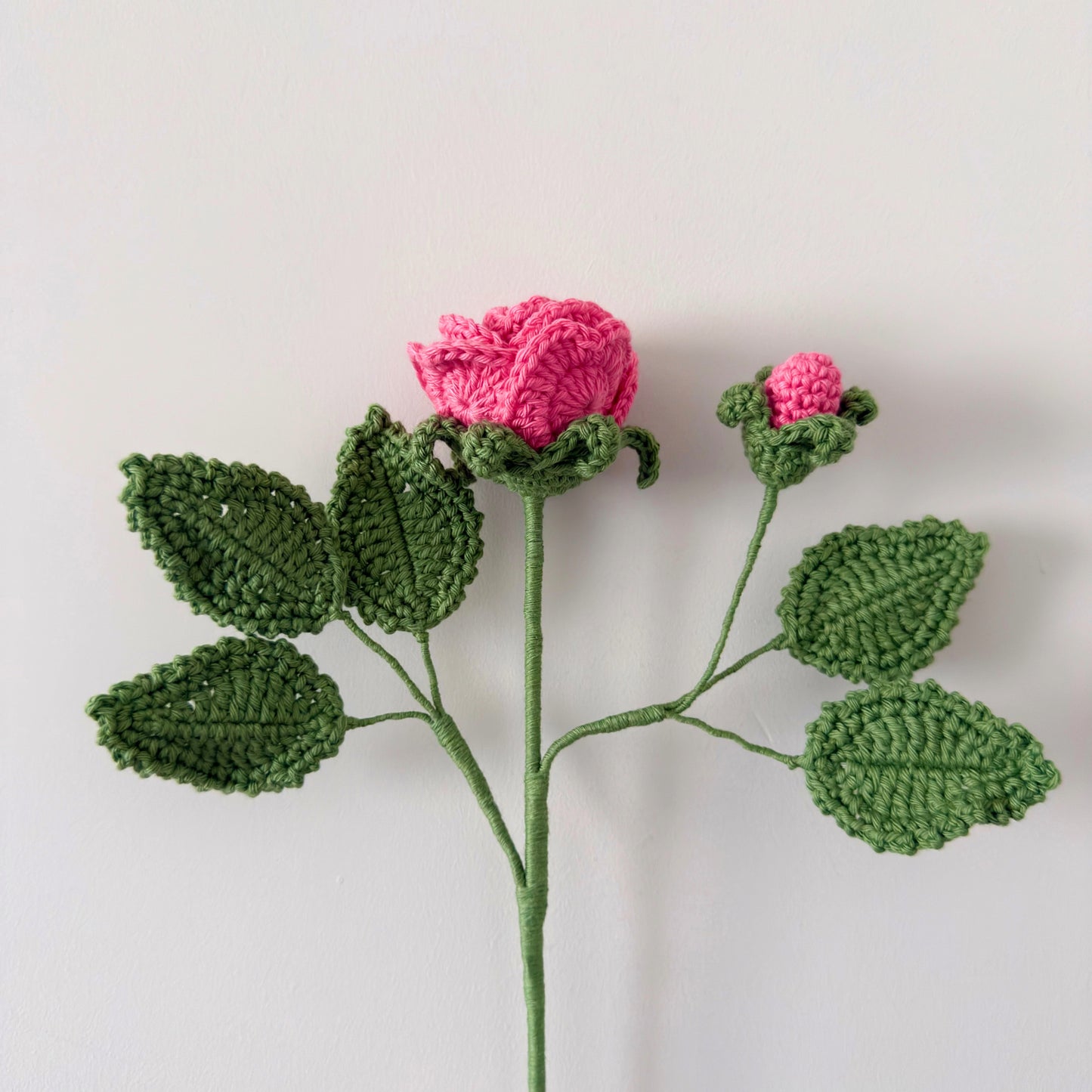 Memorial Rose