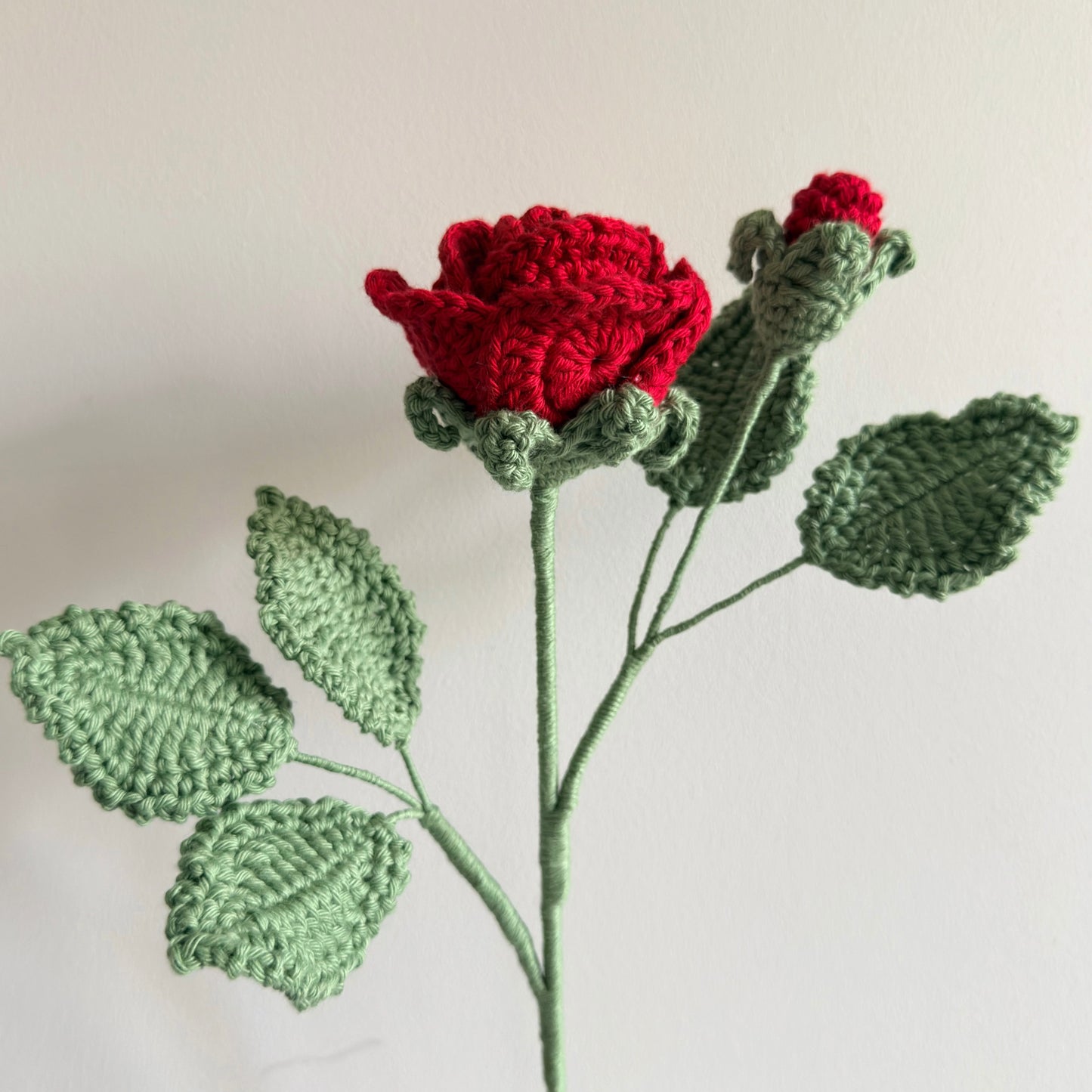 Memorial Rose