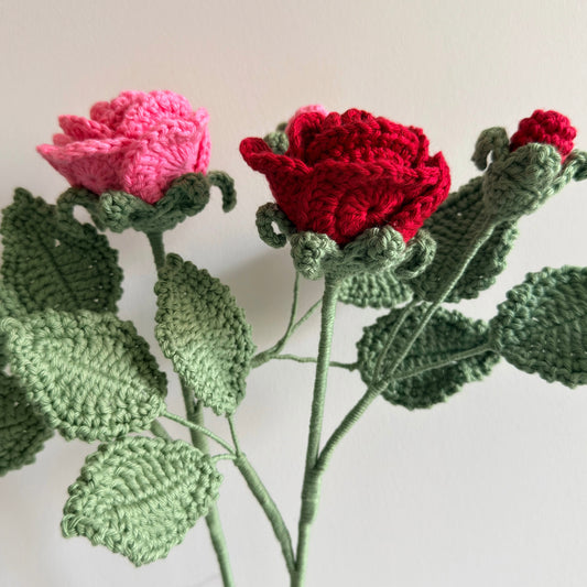 Memorial Rose