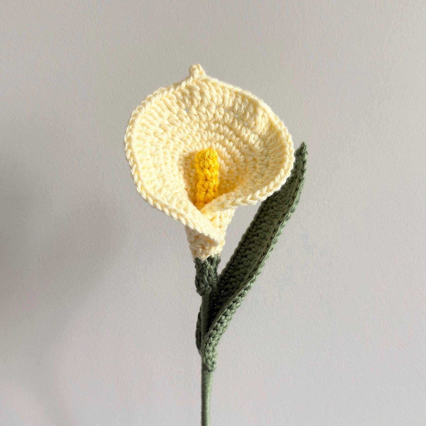 Calla Lily