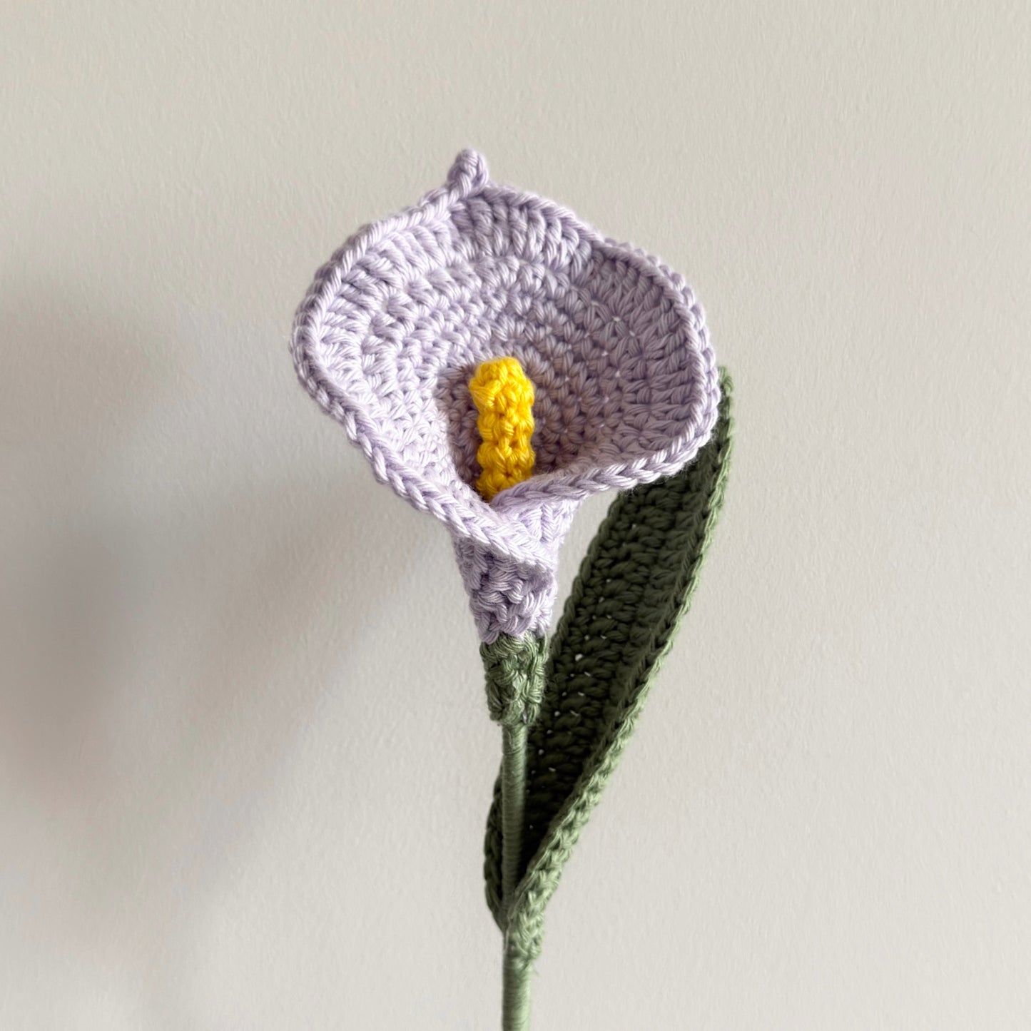 Calla Lily