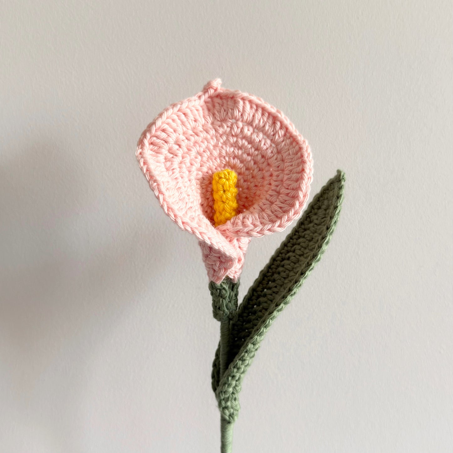 Calla Lily