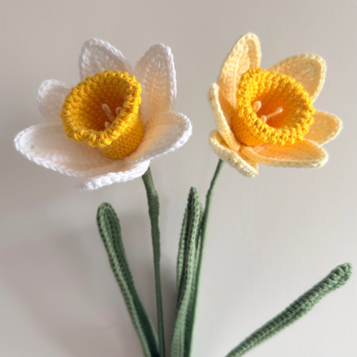 Daffodil