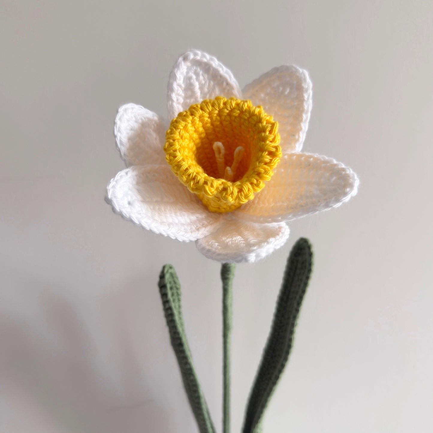 Daffodil
