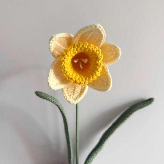 Daffodil