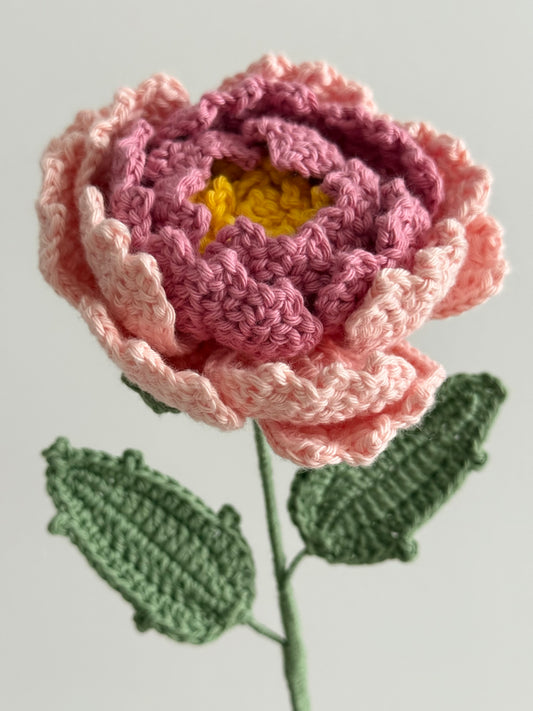 Peony